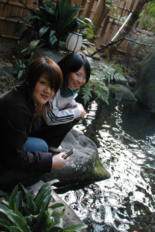 pic-No.39