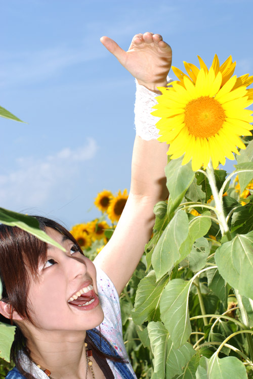 pic-No.17
